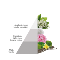 Wasparfum White