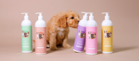 Hondenbundel Parfum & shampoo