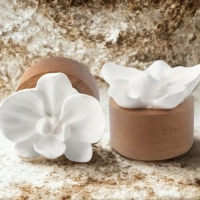 Geurbloem diffuser Orchidee